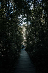 Rear view of people walking on footpath amidst trees in forest
