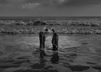 Wooden posts in sea