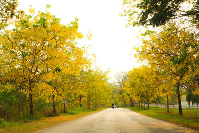 Road amidst trees against sky during autumn