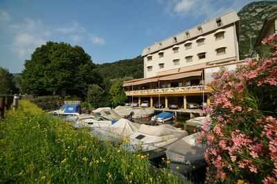 Built structure with plants in foreground