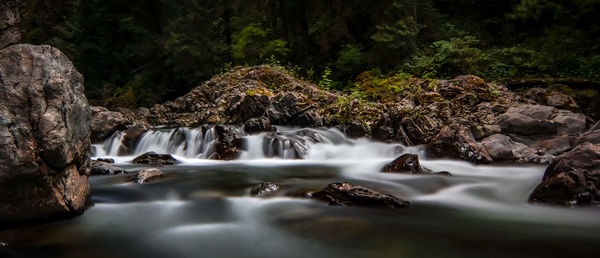 Scenic view of waterfall in forest