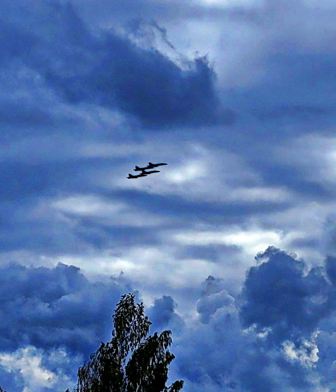 sky, cloud, flying, air vehicle, airplane, low angle view, mode of transportation, transportation, nature, no people, tree, mid-air, bird, silhouette, travel, blue, beauty in nature, outdoors, on the move, vehicle, day, plane, motion, aircraft, plant