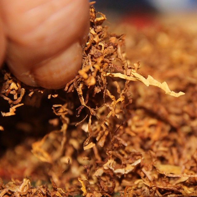 person, dry, part of, close-up, focus on foreground, holding, selective focus, cropped, human finger, brown, unrecognizable person, nature, lifestyles, day, outdoors, field, fragility