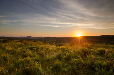 Scenic view of field against sky during sunset