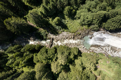 High angle view of waterfall in forest