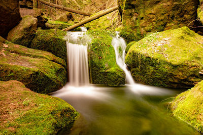 Nature rainforest river cascade. natural environment. forest nature. brook in pure nature.