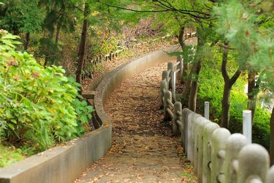 Footpath in garden