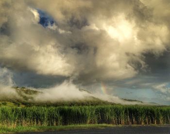 Scenic view of grassy field against cloudy sky