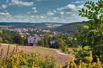 Scenic view of vineyard against sky