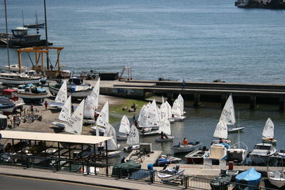 High angle view of sailboats moored at harbor