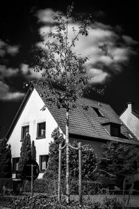 Low angle view of tree and house against sky