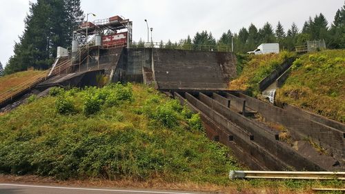 Plants growing in park