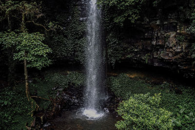 Scenic view of waterfall in forest