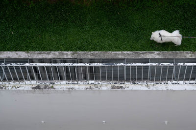 High angle view of snow covered field