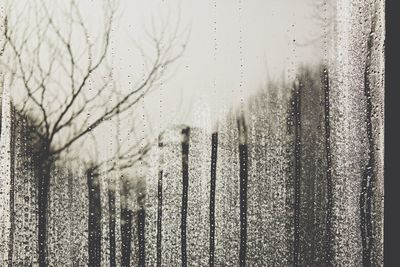 Close-up of water drops on leaf