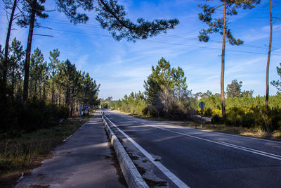 Empty road by trees against sky