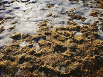 Full frame shot of wet sand on beach