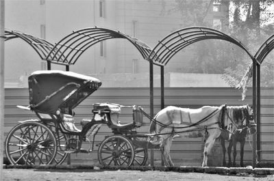 Side view of horse cart