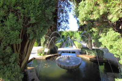 Scenic view of lake against trees