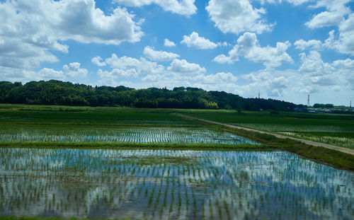 Scenic view of lake against sky