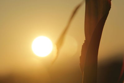 Close-up of sun during sunset