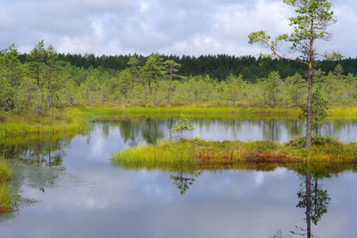 Scenic view of lake against sky