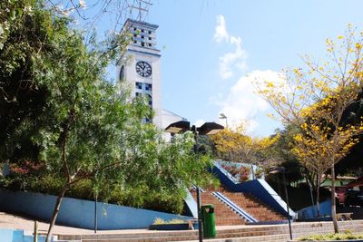 Low angle view of trees and buildings against sky