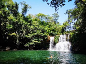 Scenic view of waterfall in forest