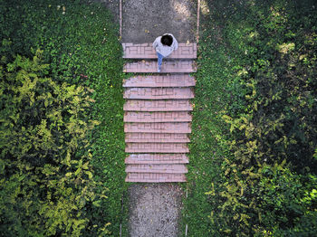 High angle view of plants against brick wall