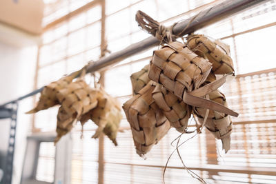 Low angle view of leaf decoration hanging on metal rod