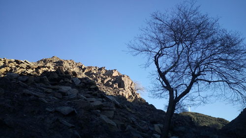 Low angle view of bare tree against clear blue sky