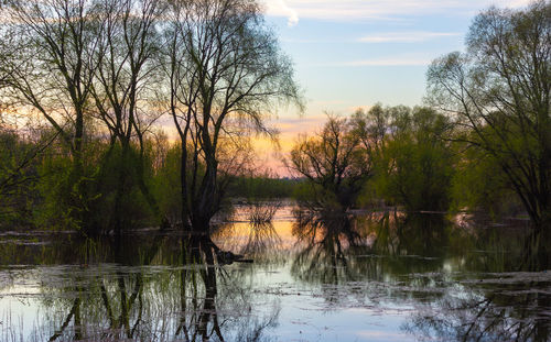 Scenic view of lake in forest against sky