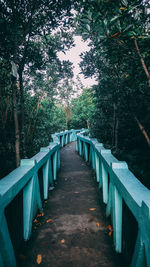 Narrow footbridge along trees in park