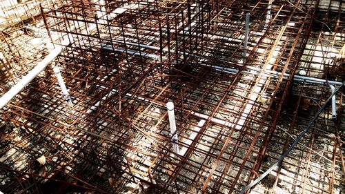 Low angle view of bird in cage