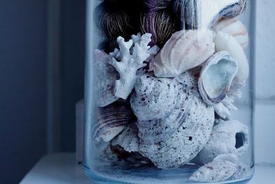 Close-up of frozen plant