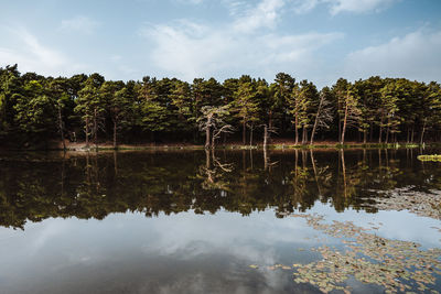 Scenic view of lake against sky