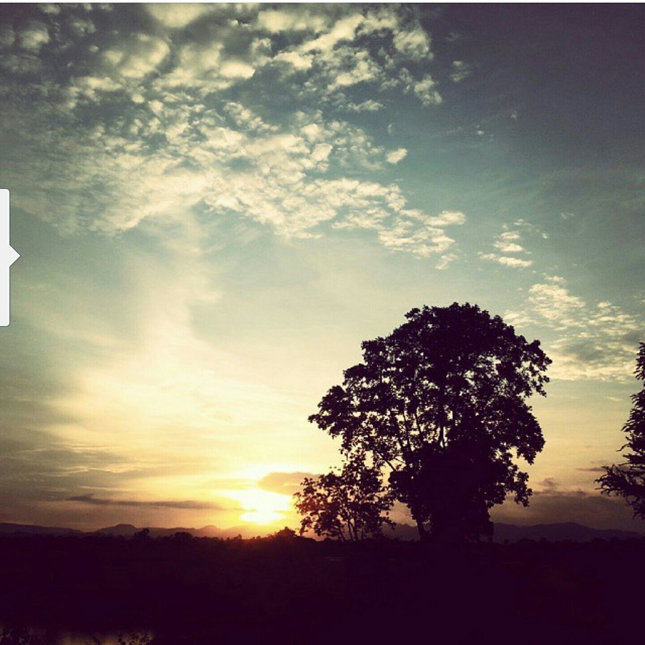 sunset, silhouette, tree, sky, tranquility, beauty in nature, tranquil scene, scenics, nature, cloud - sky, idyllic, growth, sun, cloud, sunlight, orange color, branch, landscape, no people, outdoors