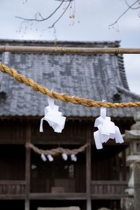 Close-up of rope hanging against fence