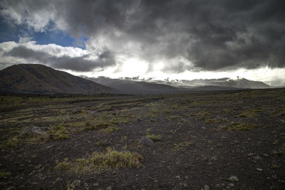 Scenic view of landscape against sky