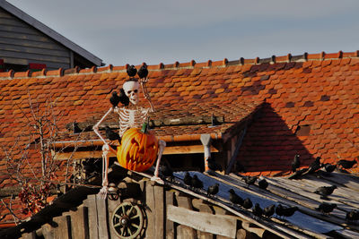 Skeleton on a roof of a building