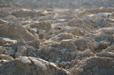 Close-up of rocks in water