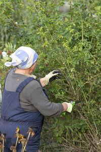 Rear view of woman cutting plants