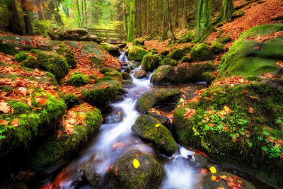 Stream flowing through rocks in an autumn forest