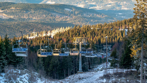 Scenic view of trees during winter