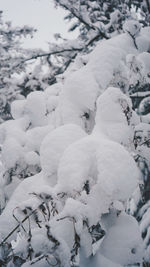 High angle view of snow covered field