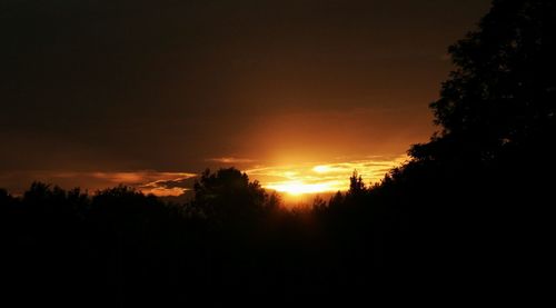 Silhouette trees in forest against sky at sunset