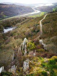 Scenic view of stream flowing through land