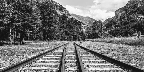 Railroad tracks along trees and plants