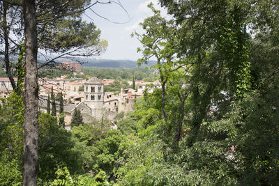 Trees and buildings in town against sky