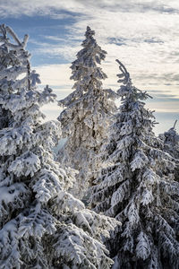 Scenic view of snow covered land against sky